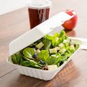 MEP-FC-961 (9″x6″x3″ Sugarcane 1 Compartment Hinged Lid Takeout Container, White, 250 ct.)